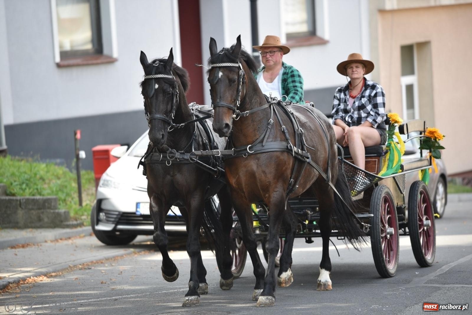 Zdjęcie w galerii na portalu naszraciborz.pl: Kolorowe pożegnanie Lata w Krzanowicach [FOTO i WIDEO] wiadomości z regionu