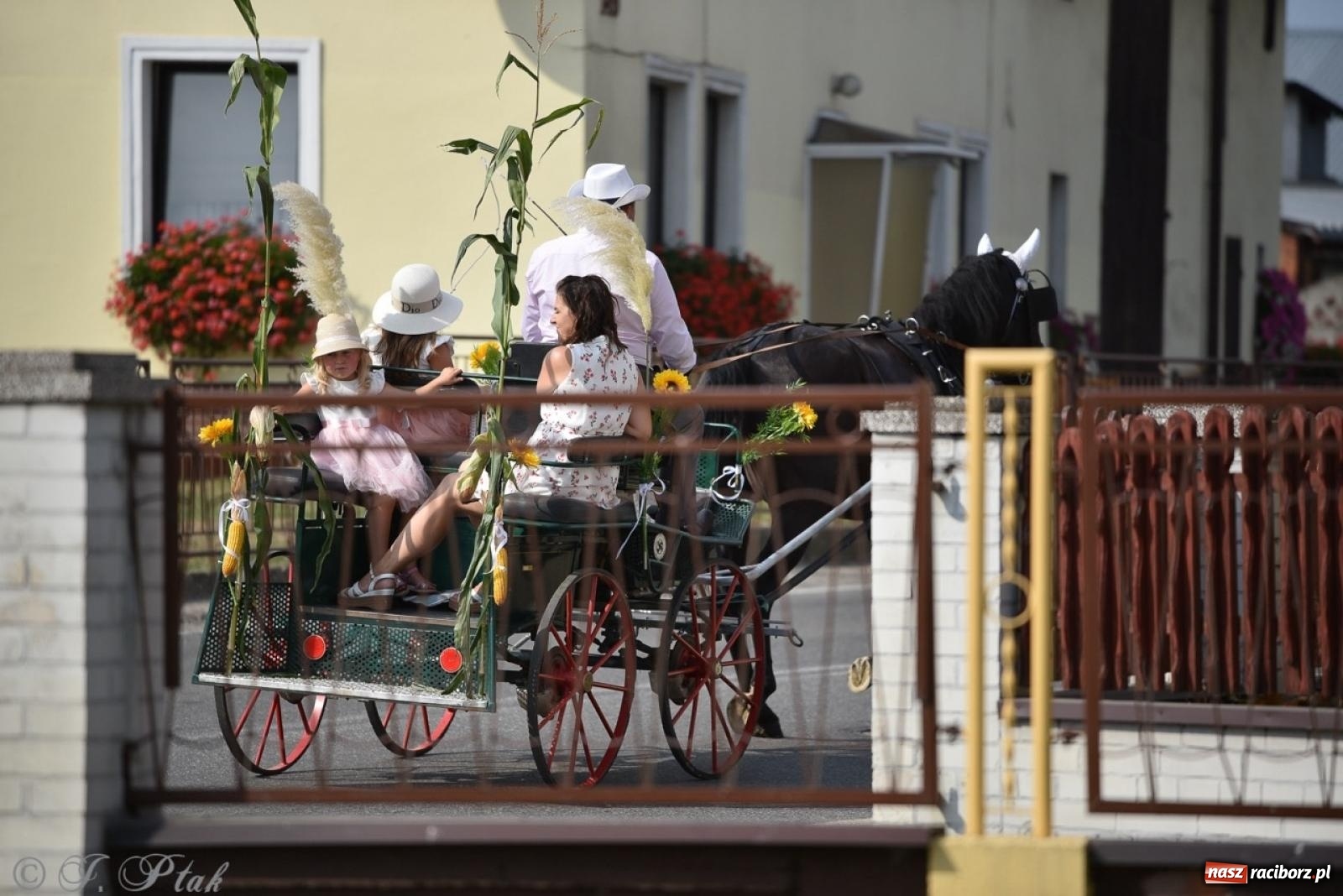 Zdjęcie w galerii na portalu naszraciborz.pl: Dożynki w Sudole – tradycja łącząca pokolenia [FOTO i WIDEO] wiadomości z regionu