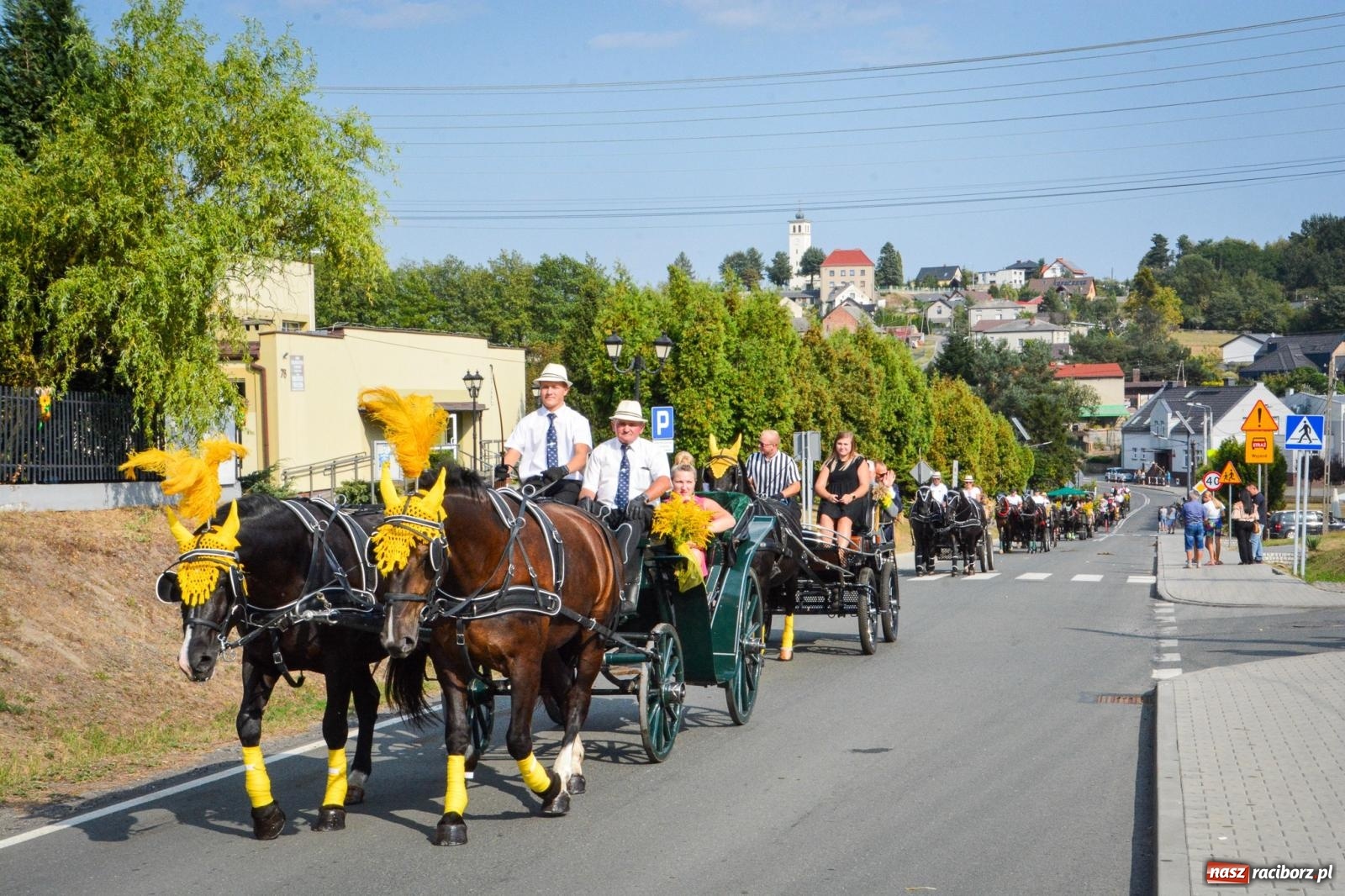 Zdjęcie w galerii na portalu naszraciborz.pl: Dożynki gminy Kornowac - kobylskie święto plonów pełne muzyki i zabawy! wiadomości z regionu