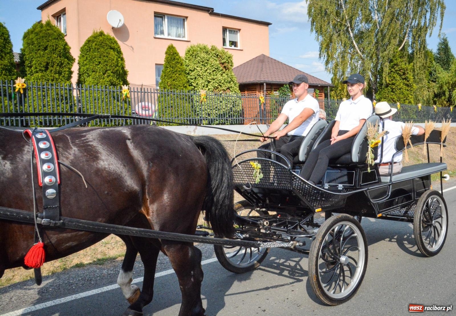 Zdjęcie w galerii na portalu naszraciborz.pl: Dożynki gminy Kornowac - kobylskie święto plonów pełne muzyki i zabawy! wiadomości z regionu