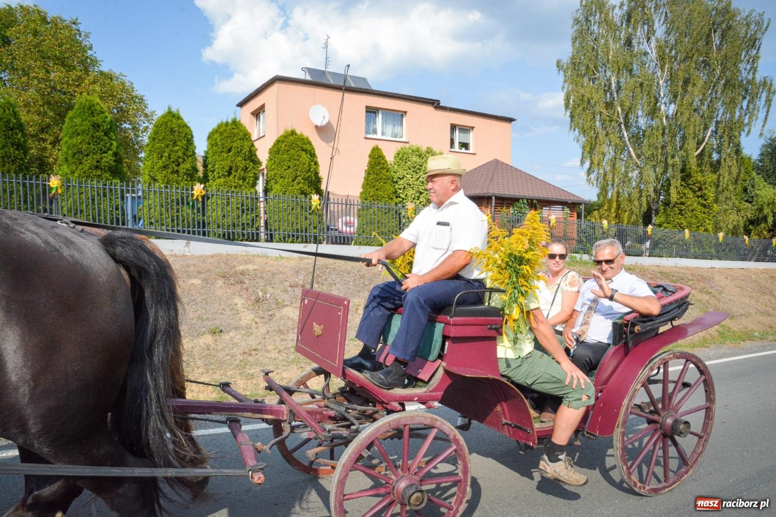 Zdjęcie w galerii na portalu naszraciborz.pl: Dożynki gminy Kornowac - kobylskie święto plonów pełne muzyki i zabawy! wiadomości z regionu