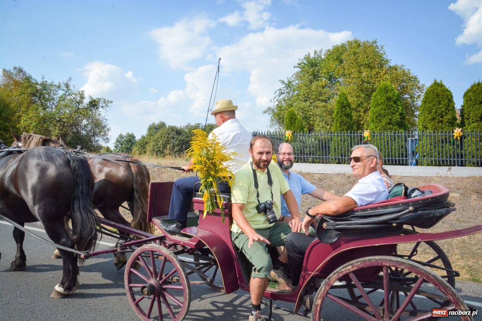 Zdjęcie w galerii na portalu naszraciborz.pl: Dożynki gminy Kornowac - kobylskie święto plonów pełne muzyki i zabawy! wiadomości z regionu