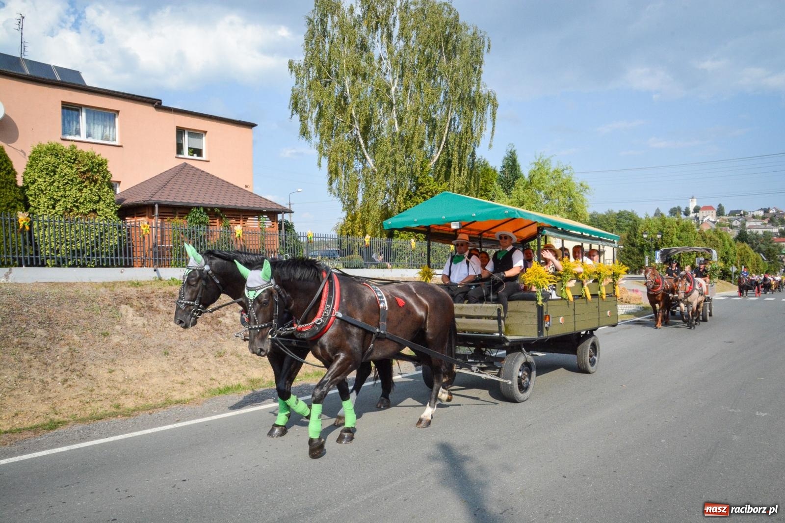 Zdjęcie w galerii na portalu naszraciborz.pl: Dożynki gminy Kornowac - kobylskie święto plonów pełne muzyki i zabawy! wiadomości z regionu