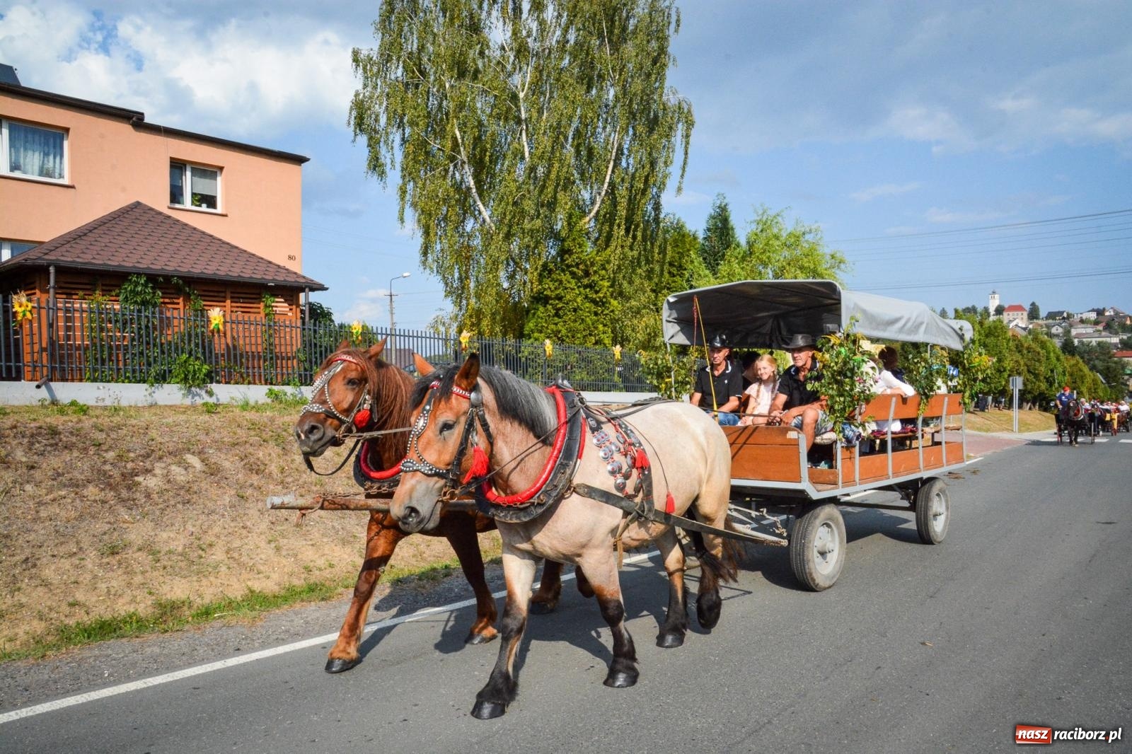 Zdjęcie w galerii na portalu naszraciborz.pl: Dożynki gminy Kornowac - kobylskie święto plonów pełne muzyki i zabawy! wiadomości z regionu