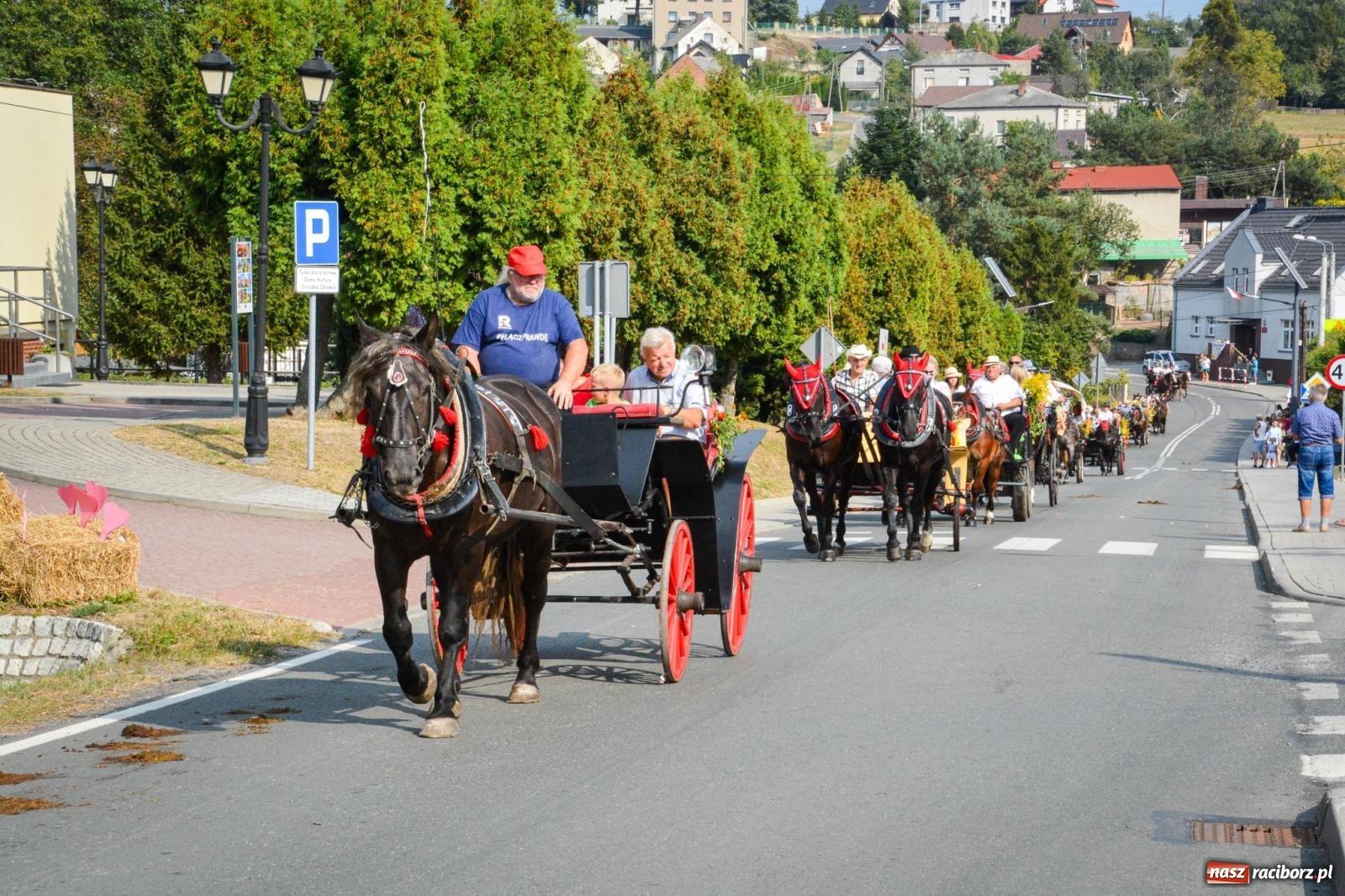 Zdjęcie w galerii na portalu naszraciborz.pl: Dożynki gminy Kornowac - kobylskie święto plonów pełne muzyki i zabawy! wiadomości z regionu
