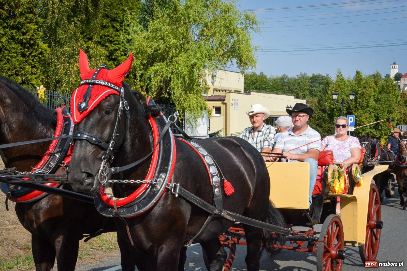 Zdjęcie w galerii na portalu naszraciborz.pl: Dożynki gminy Kornowac - kobylskie święto plonów pełne muzyki i zabawy! wiadomości z regionu
