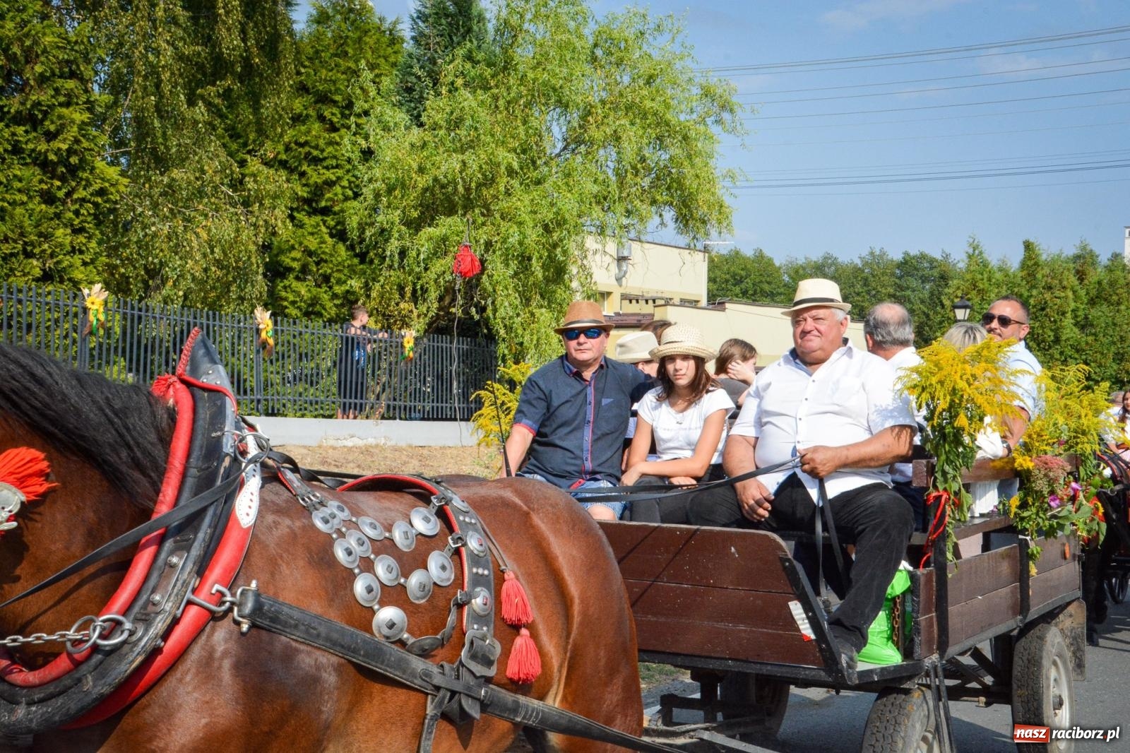 Zdjęcie w galerii na portalu naszraciborz.pl: Dożynki gminy Kornowac - kobylskie święto plonów pełne muzyki i zabawy! wiadomości z regionu