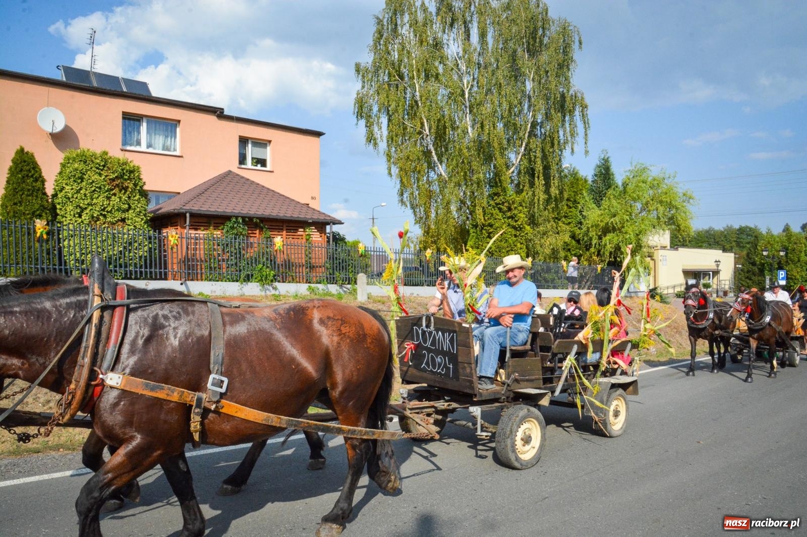 Zdjęcie w galerii na portalu naszraciborz.pl: Dożynki gminy Kornowac - kobylskie święto plonów pełne muzyki i zabawy! wiadomości z regionu