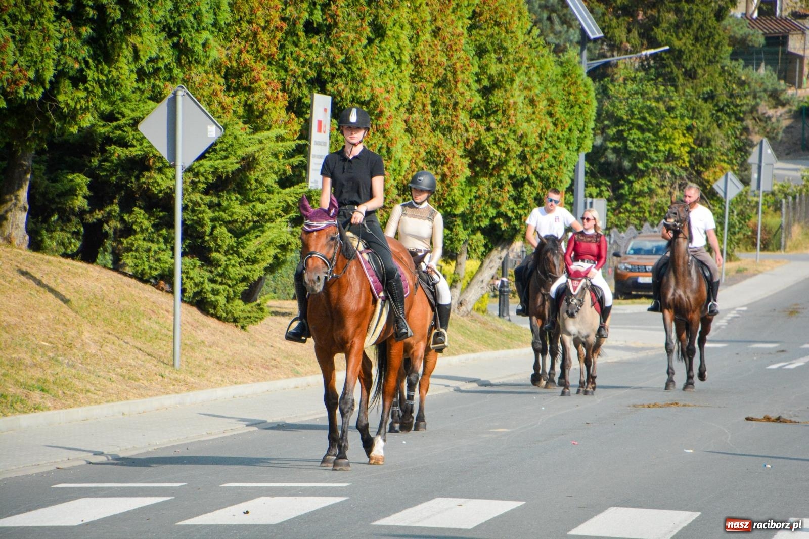 Zdjęcie w galerii na portalu naszraciborz.pl: Dożynki gminy Kornowac - kobylskie święto plonów pełne muzyki i zabawy! wiadomości z regionu