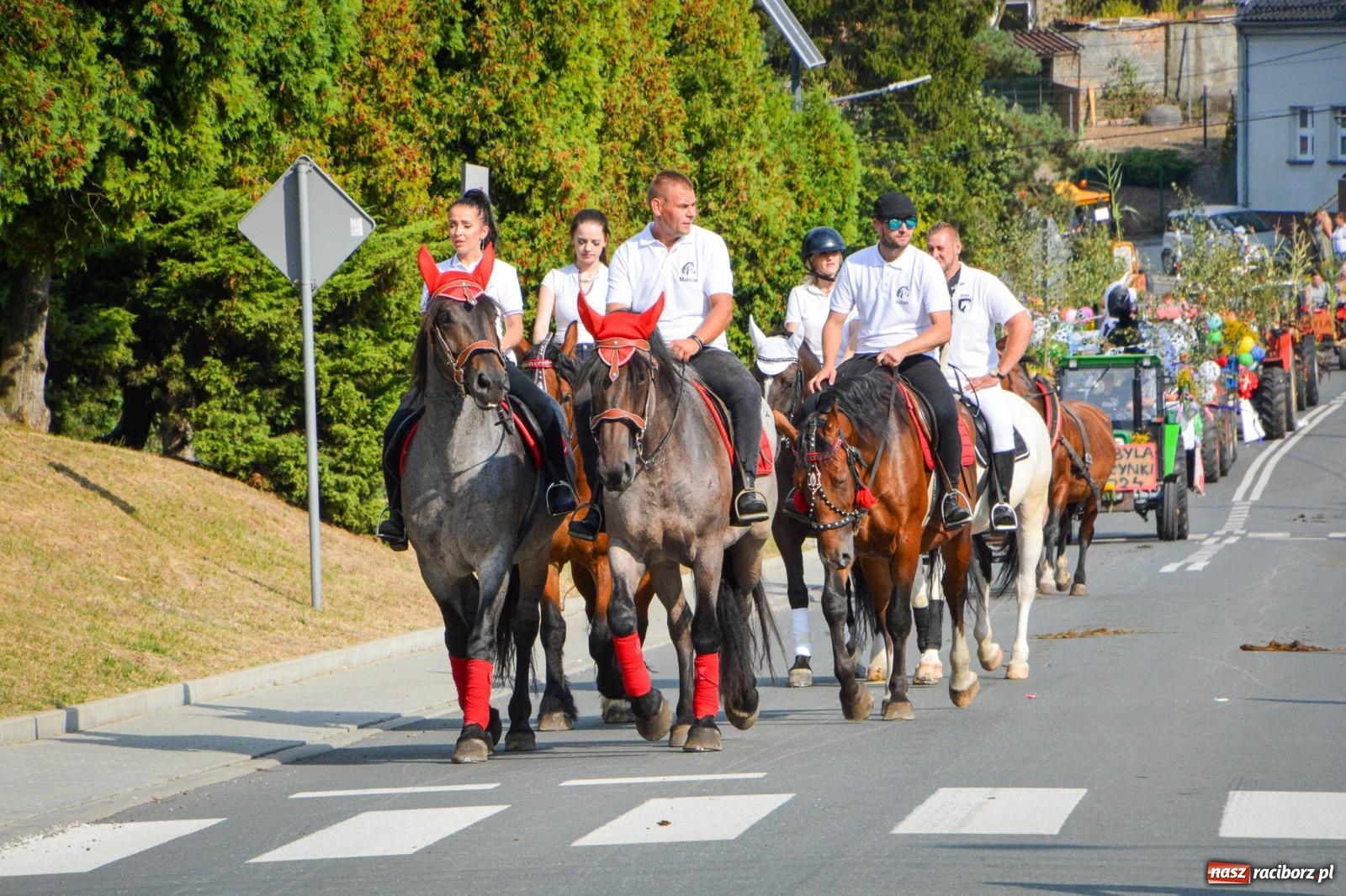 Zdjęcie w galerii na portalu naszraciborz.pl: Dożynki gminy Kornowac - kobylskie święto plonów pełne muzyki i zabawy! wiadomości z regionu