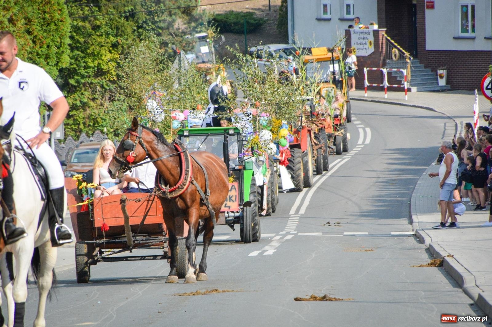 Zdjęcie w galerii na portalu naszraciborz.pl: Dożynki gminy Kornowac - kobylskie święto plonów pełne muzyki i zabawy! wiadomości z regionu