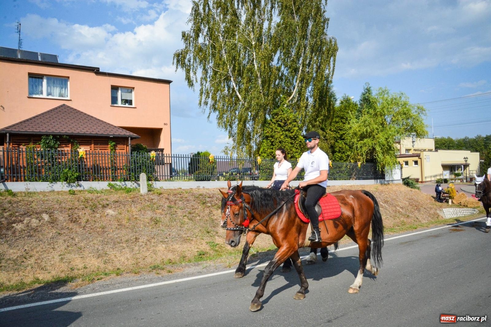 Zdjęcie w galerii na portalu naszraciborz.pl: Dożynki gminy Kornowac - kobylskie święto plonów pełne muzyki i zabawy! wiadomości z regionu