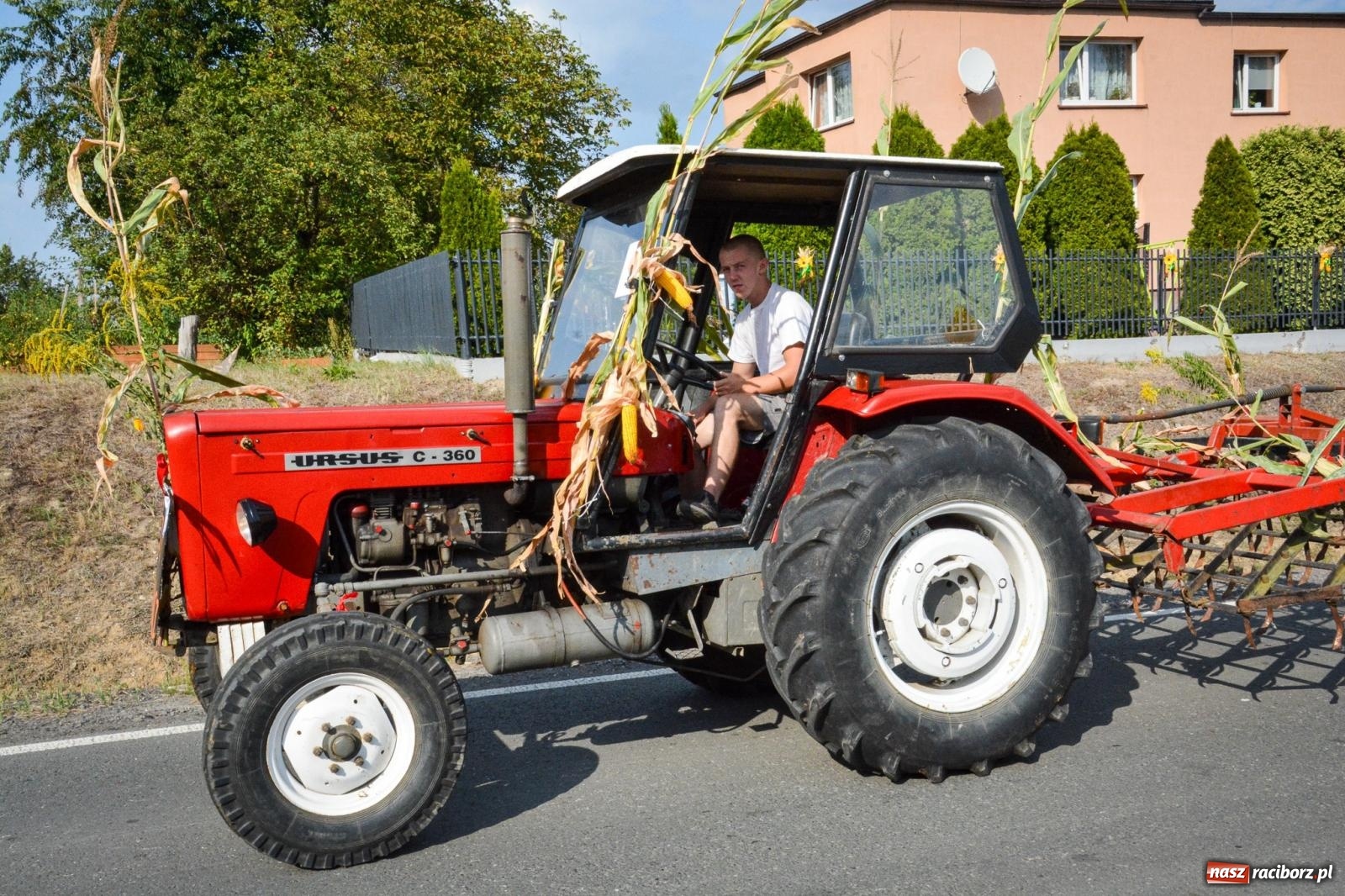 Zdjęcie w galerii na portalu naszraciborz.pl: Dożynki gminy Kornowac - kobylskie święto plonów pełne muzyki i zabawy! wiadomości z regionu
