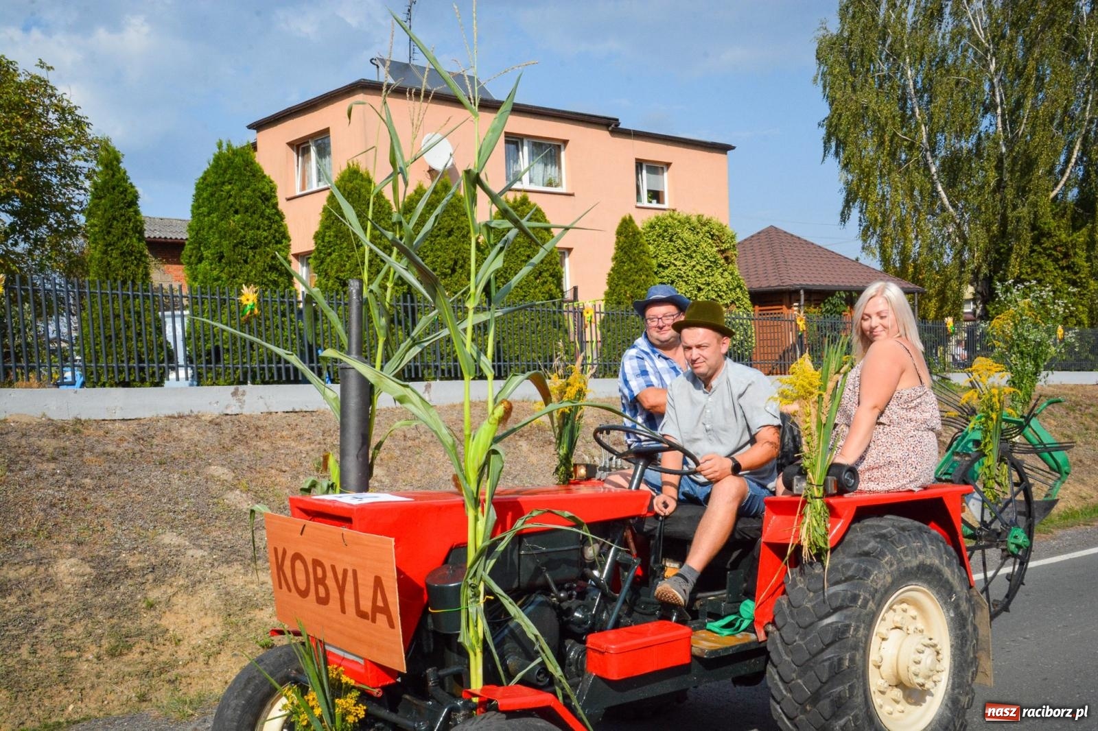 Zdjęcie w galerii na portalu naszraciborz.pl: Dożynki gminy Kornowac - kobylskie święto plonów pełne muzyki i zabawy! wiadomości z regionu