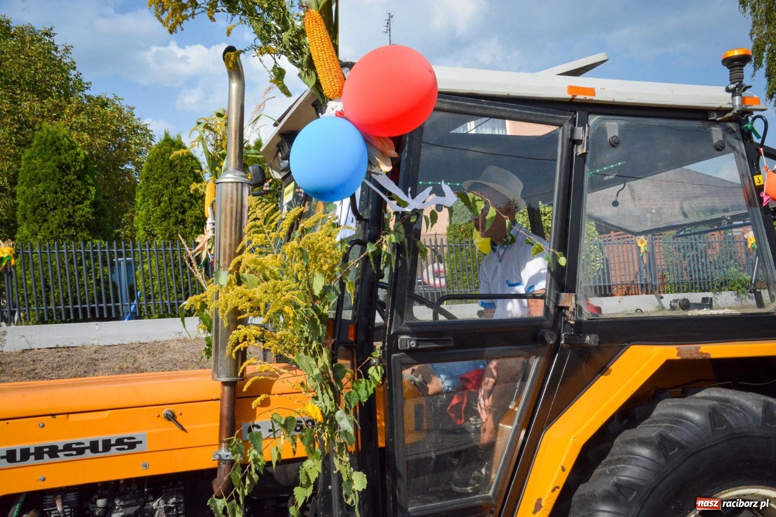 Zdjęcie w galerii na portalu naszraciborz.pl: Dożynki gminy Kornowac - kobylskie święto plonów pełne muzyki i zabawy! wiadomości z regionu