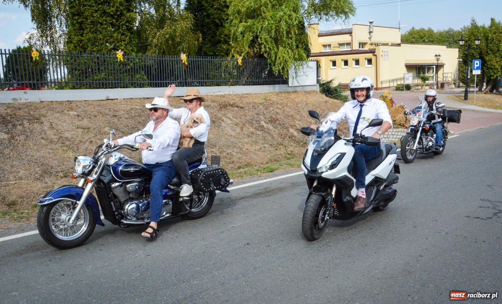 Zdjęcie w galerii na portalu naszraciborz.pl: Dożynki gminy Kornowac - kobylskie święto plonów pełne muzyki i zabawy! wiadomości z regionu