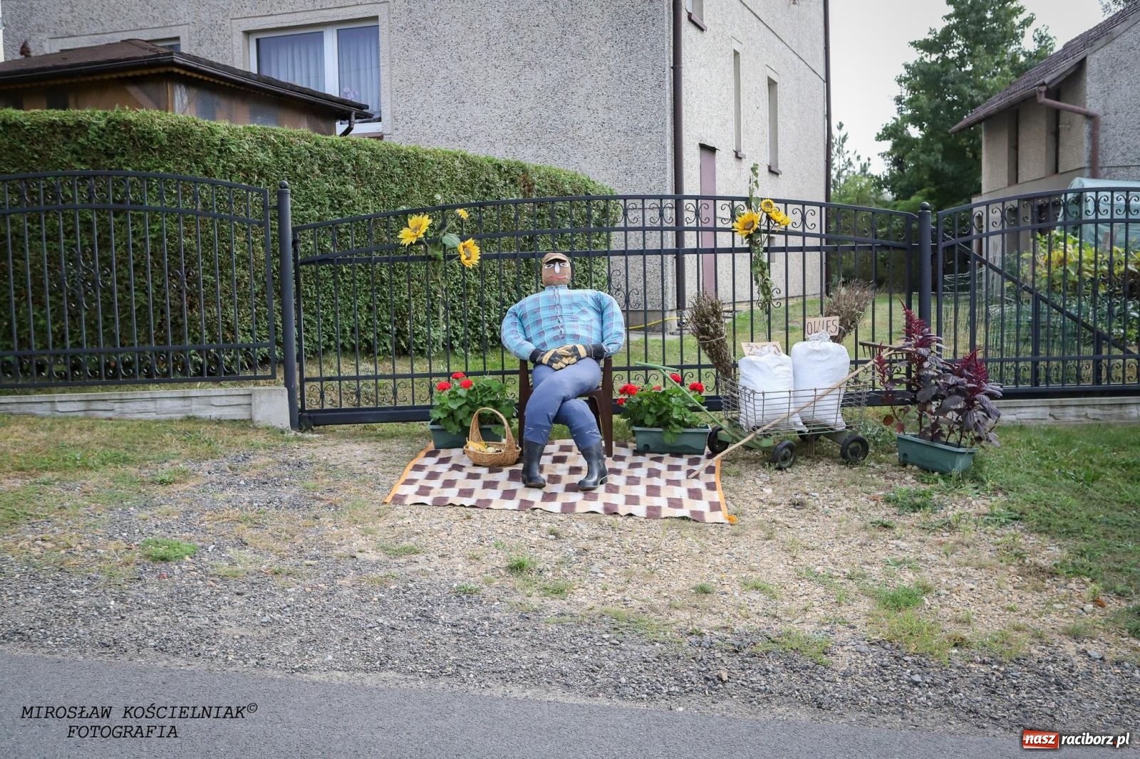 Zdjęcie w galerii na portalu naszraciborz.pl: Dożynki gminy Kornowac - kobylskie święto plonów pełne muzyki i zabawy! wiadomości z regionu