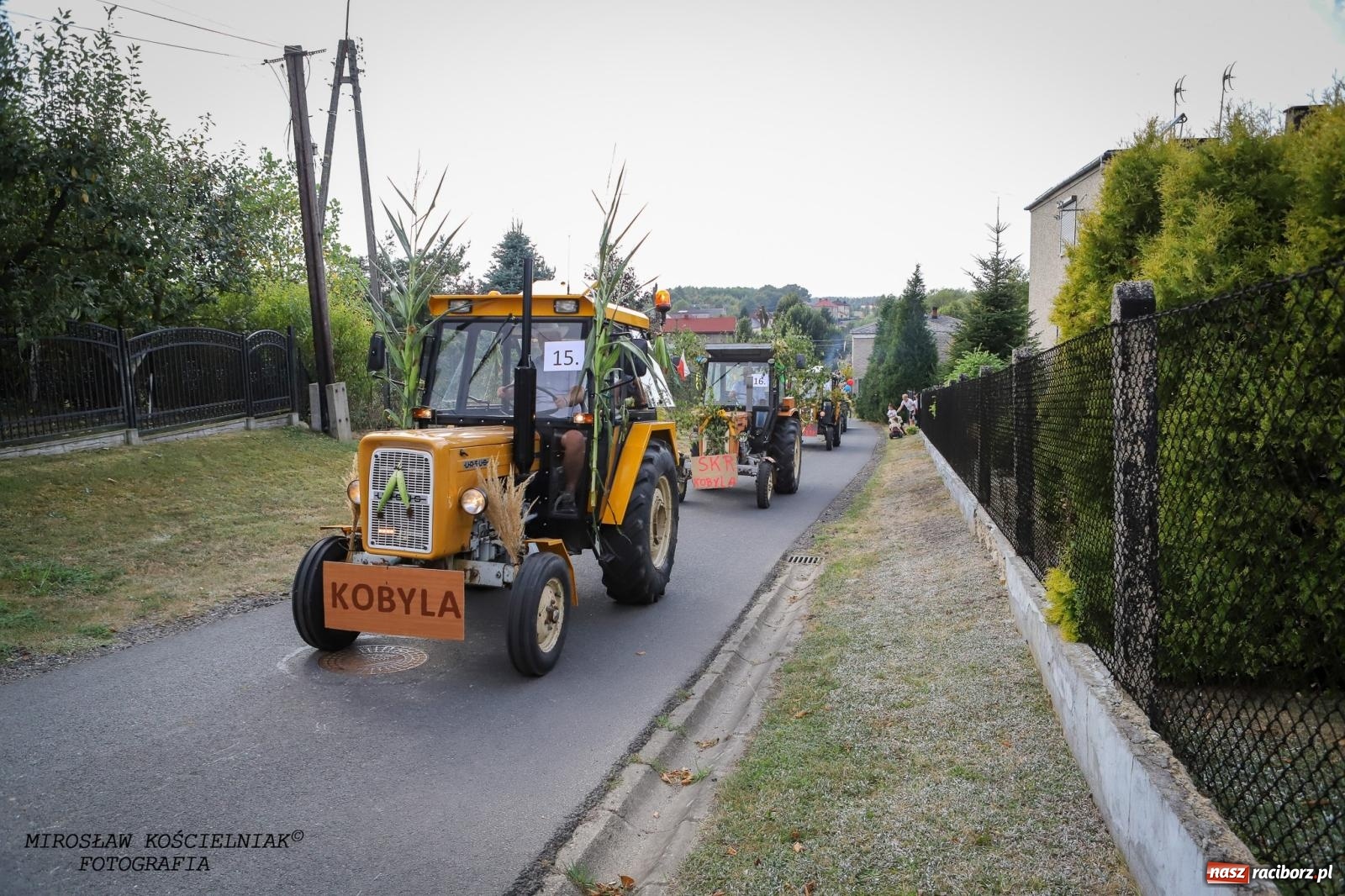 Zdjęcie w galerii na portalu naszraciborz.pl: Dożynki gminy Kornowac - kobylskie święto plonów pełne muzyki i zabawy! wiadomości z regionu