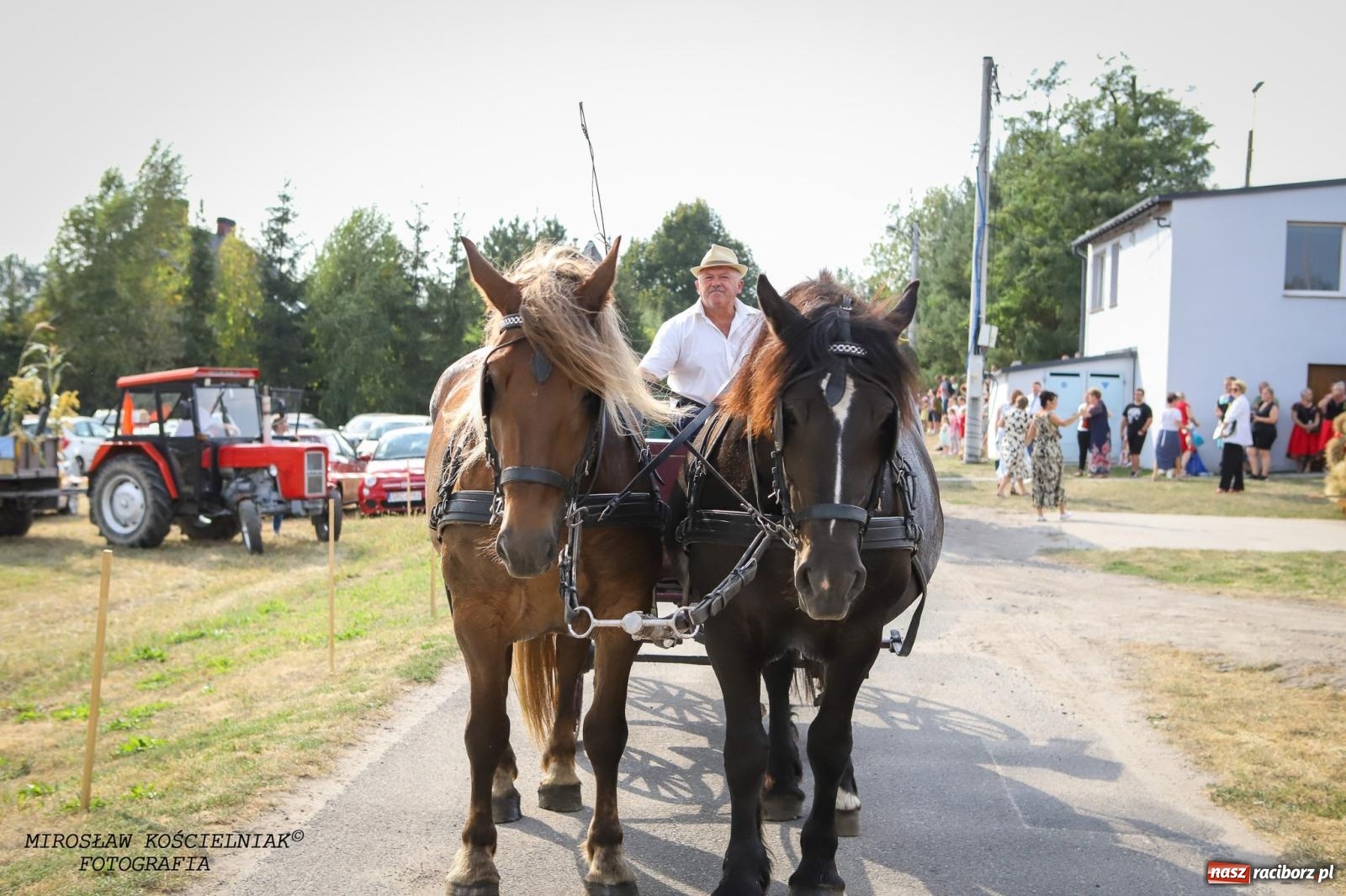 Zdjęcie w galerii na portalu naszraciborz.pl: Dożynki gminy Kornowac - kobylskie święto plonów pełne muzyki i zabawy! wiadomości z regionu
