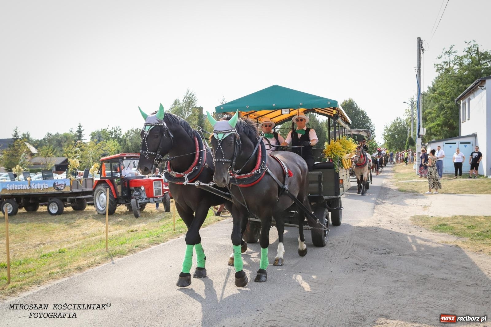 Zdjęcie w galerii na portalu naszraciborz.pl: Dożynki gminy Kornowac - kobylskie święto plonów pełne muzyki i zabawy! wiadomości z regionu