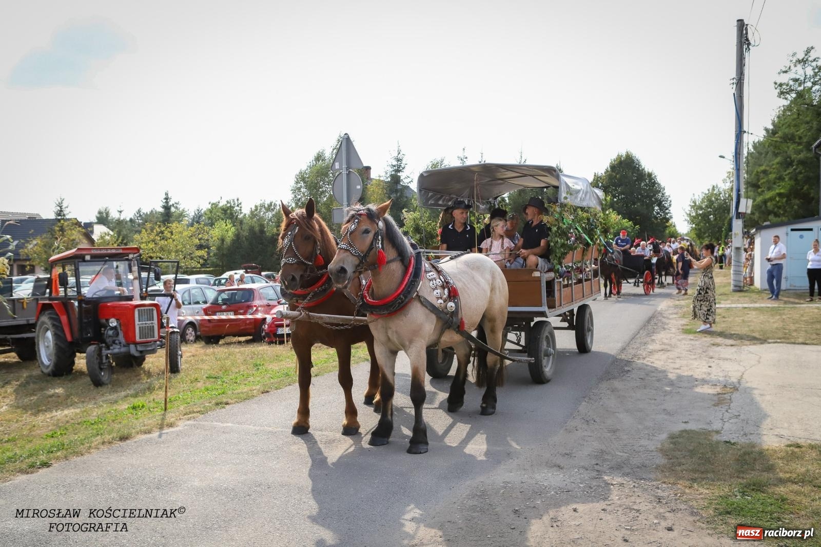 Zdjęcie w galerii na portalu naszraciborz.pl: Dożynki gminy Kornowac - kobylskie święto plonów pełne muzyki i zabawy! wiadomości z regionu