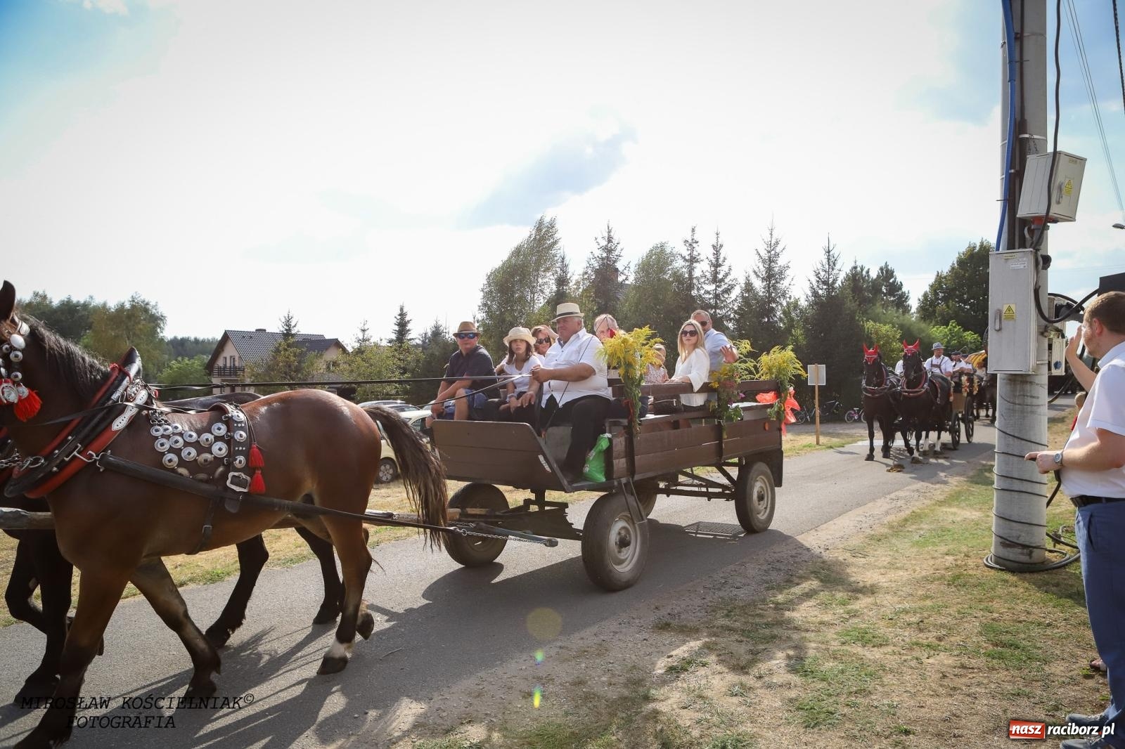 Zdjęcie w galerii na portalu naszraciborz.pl: Dożynki gminy Kornowac - kobylskie święto plonów pełne muzyki i zabawy! wiadomości z regionu