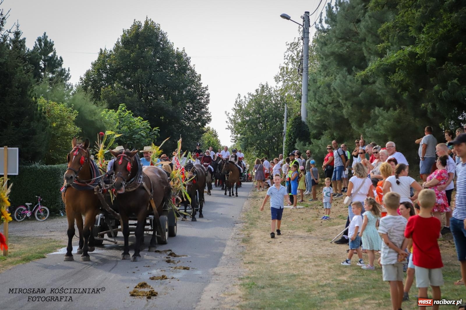 Zdjęcie w galerii na portalu naszraciborz.pl: Dożynki gminy Kornowac - kobylskie święto plonów pełne muzyki i zabawy! wiadomości z regionu