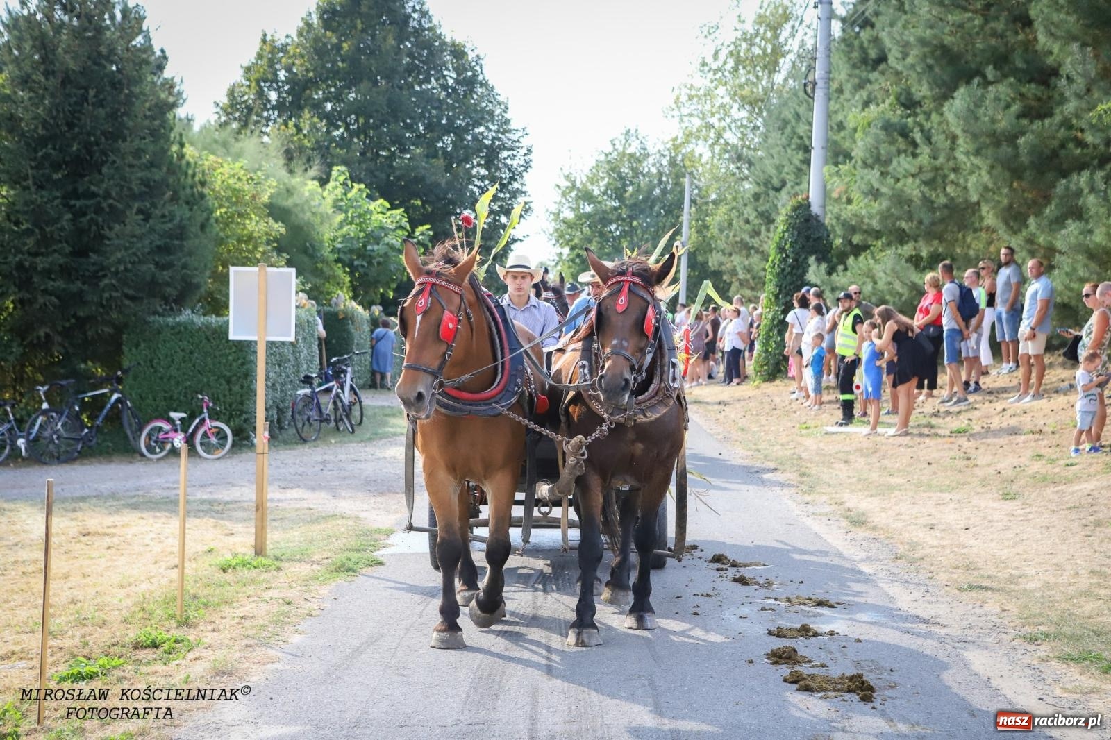 Zdjęcie w galerii na portalu naszraciborz.pl: Dożynki gminy Kornowac - kobylskie święto plonów pełne muzyki i zabawy! wiadomości z regionu