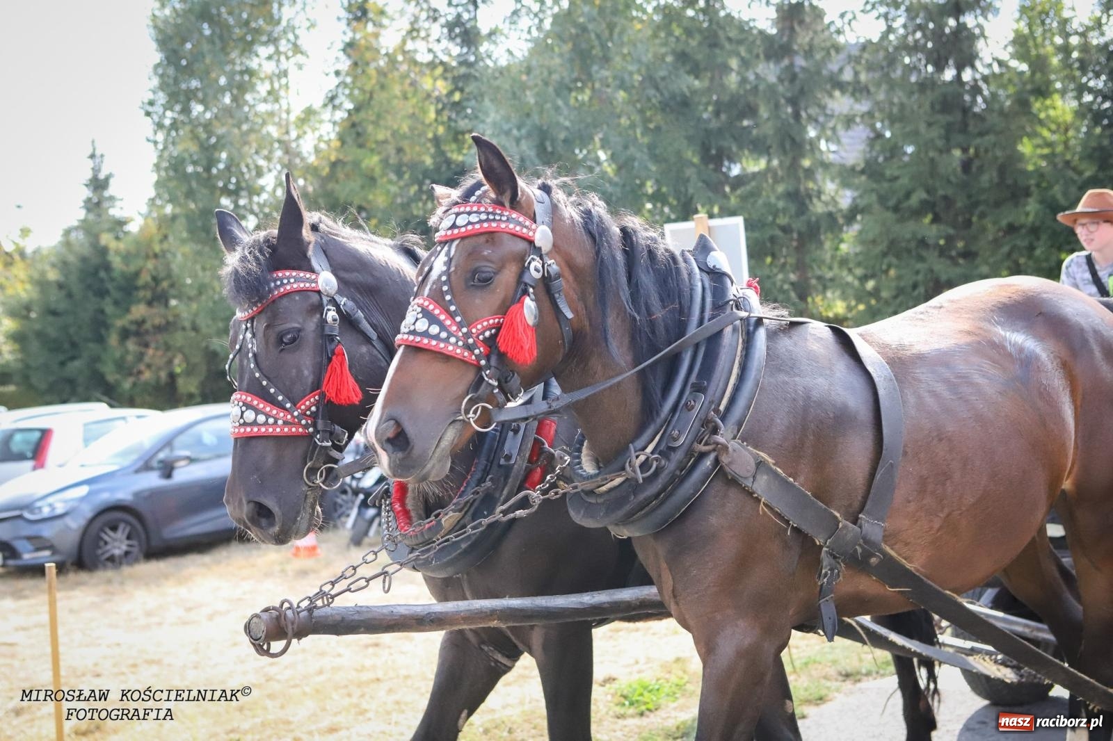 Zdjęcie w galerii na portalu naszraciborz.pl: Dożynki gminy Kornowac - kobylskie święto plonów pełne muzyki i zabawy! wiadomości z regionu