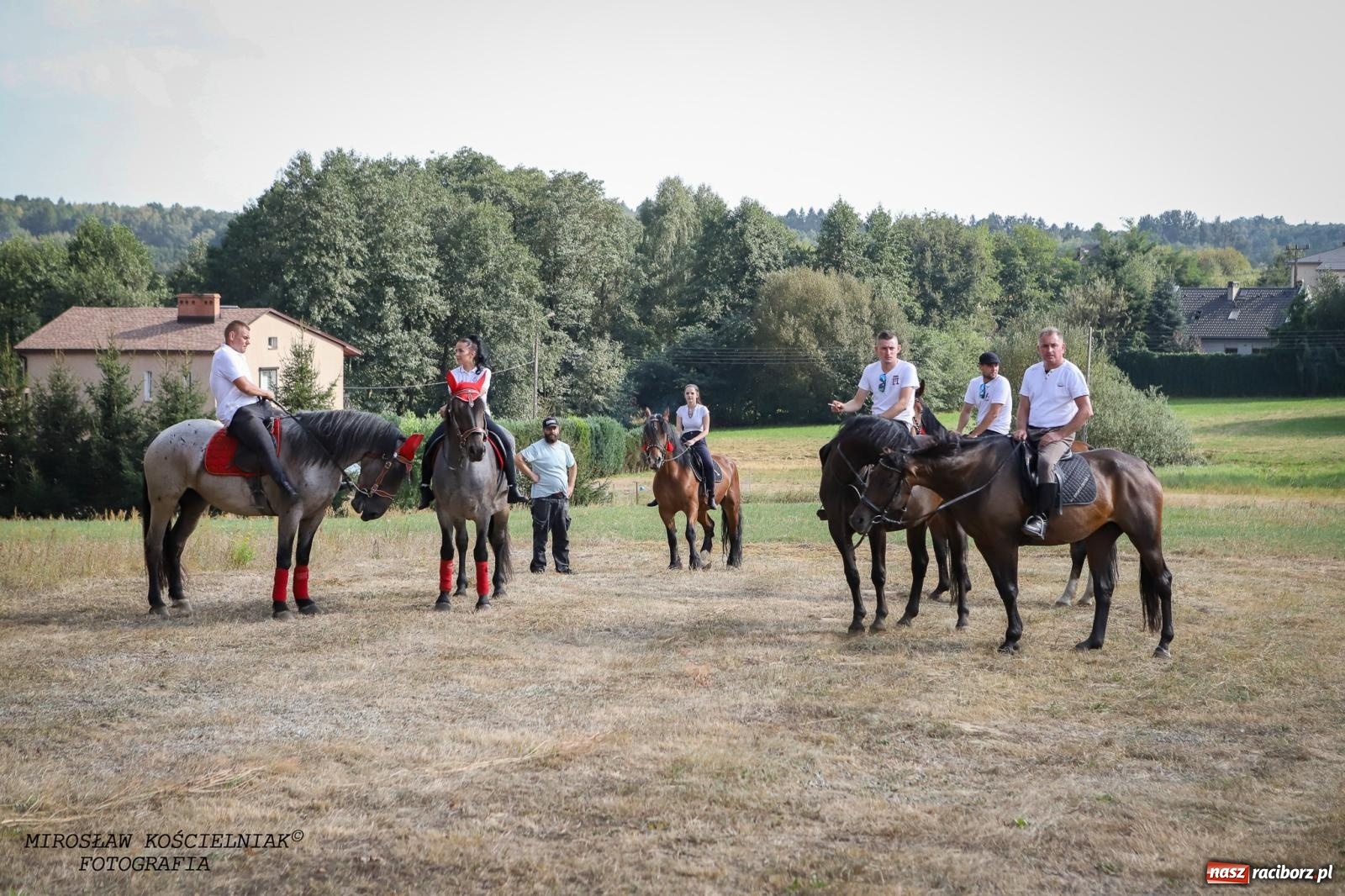 Zdjęcie w galerii na portalu naszraciborz.pl: Dożynki gminy Kornowac - kobylskie święto plonów pełne muzyki i zabawy! wiadomości z regionu