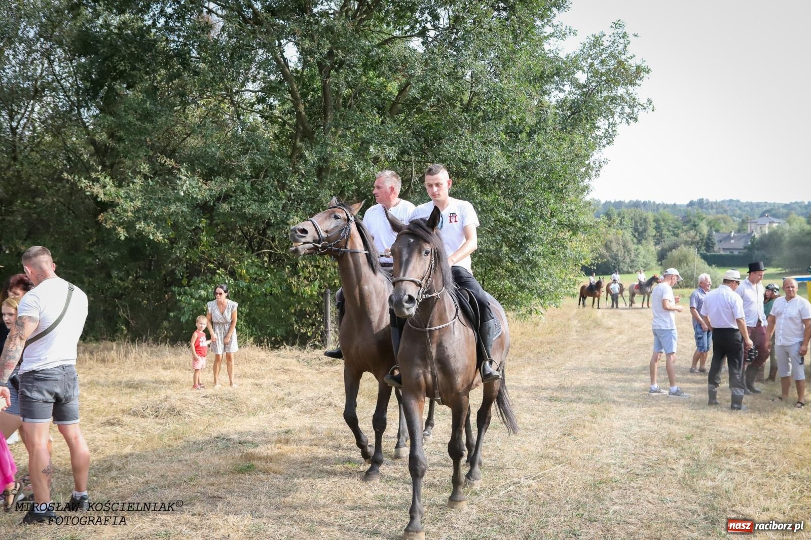Zdjęcie w galerii na portalu naszraciborz.pl: Dożynki gminy Kornowac - kobylskie święto plonów pełne muzyki i zabawy! wiadomości z regionu