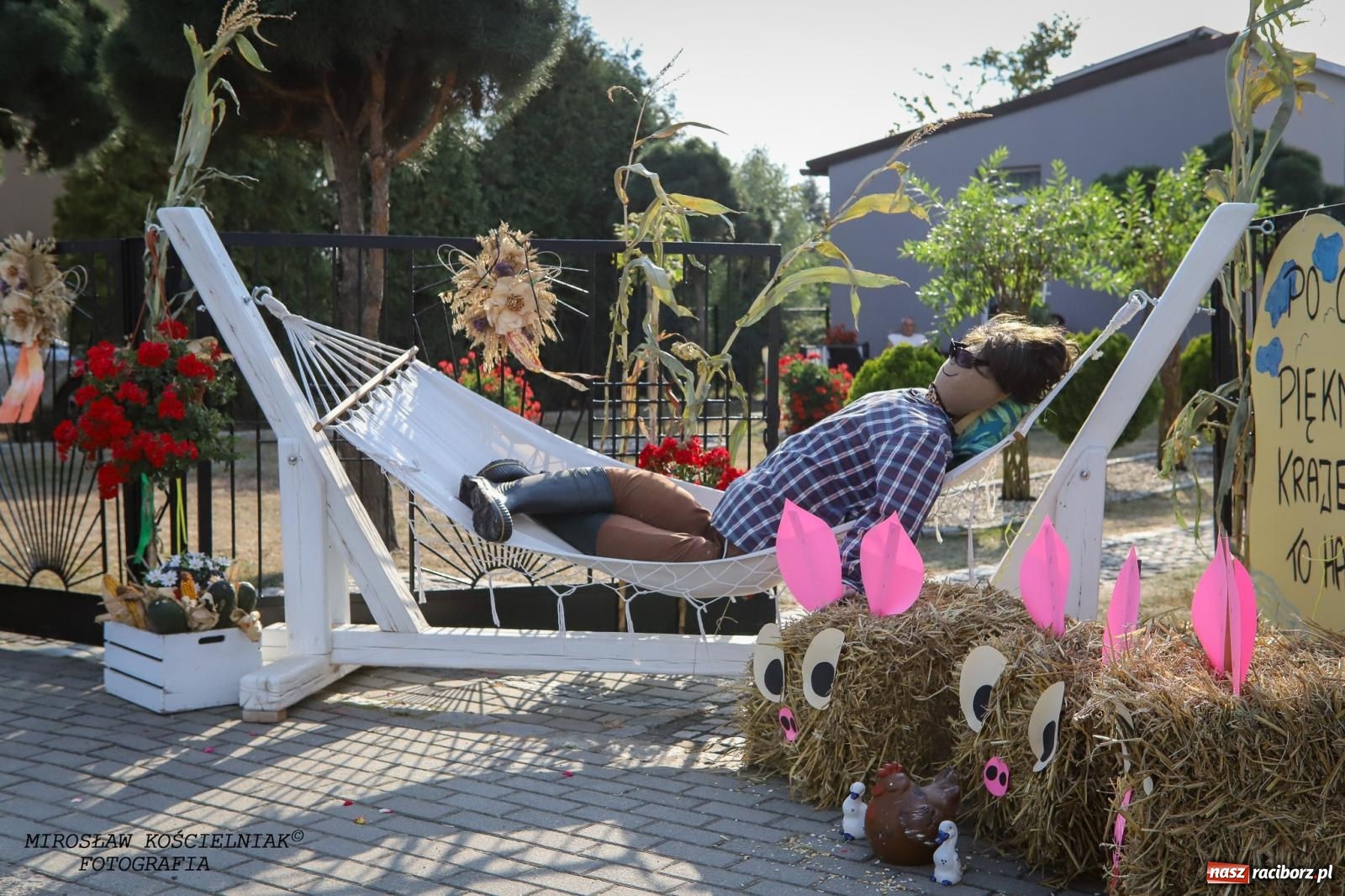 Zdjęcie w galerii na portalu naszraciborz.pl: Dożynki gminy Kornowac - kobylskie święto plonów pełne muzyki i zabawy! wiadomości z regionu