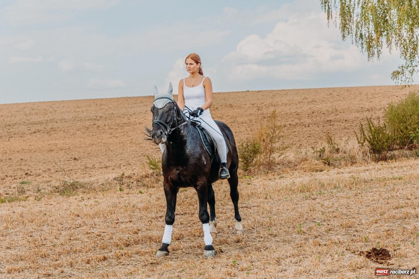 Zdjęcie w galerii na portalu naszraciborz.pl: Podróż w przeszłość mechanizacji rolnictwa. Dożynki sołecko-parafialne w Gamowie wiadomości z regionu