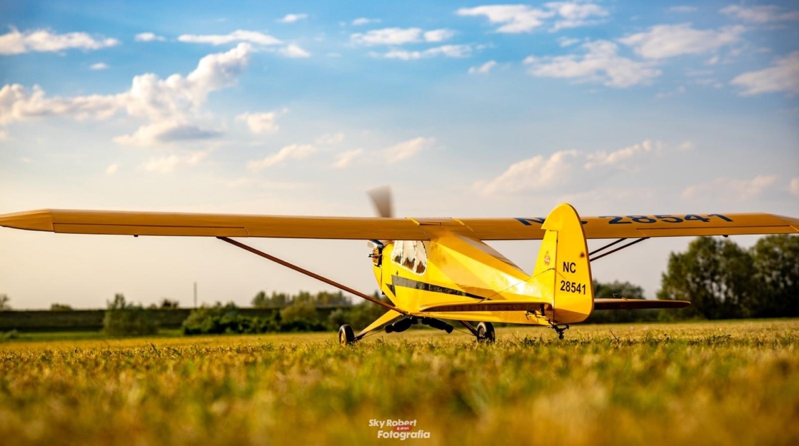 Zdjęcie w galerii na portalu naszraciborz.pl: Raciborskie air show hitem weekendu. Tłumy nad Ulgą wiadomości z regionu