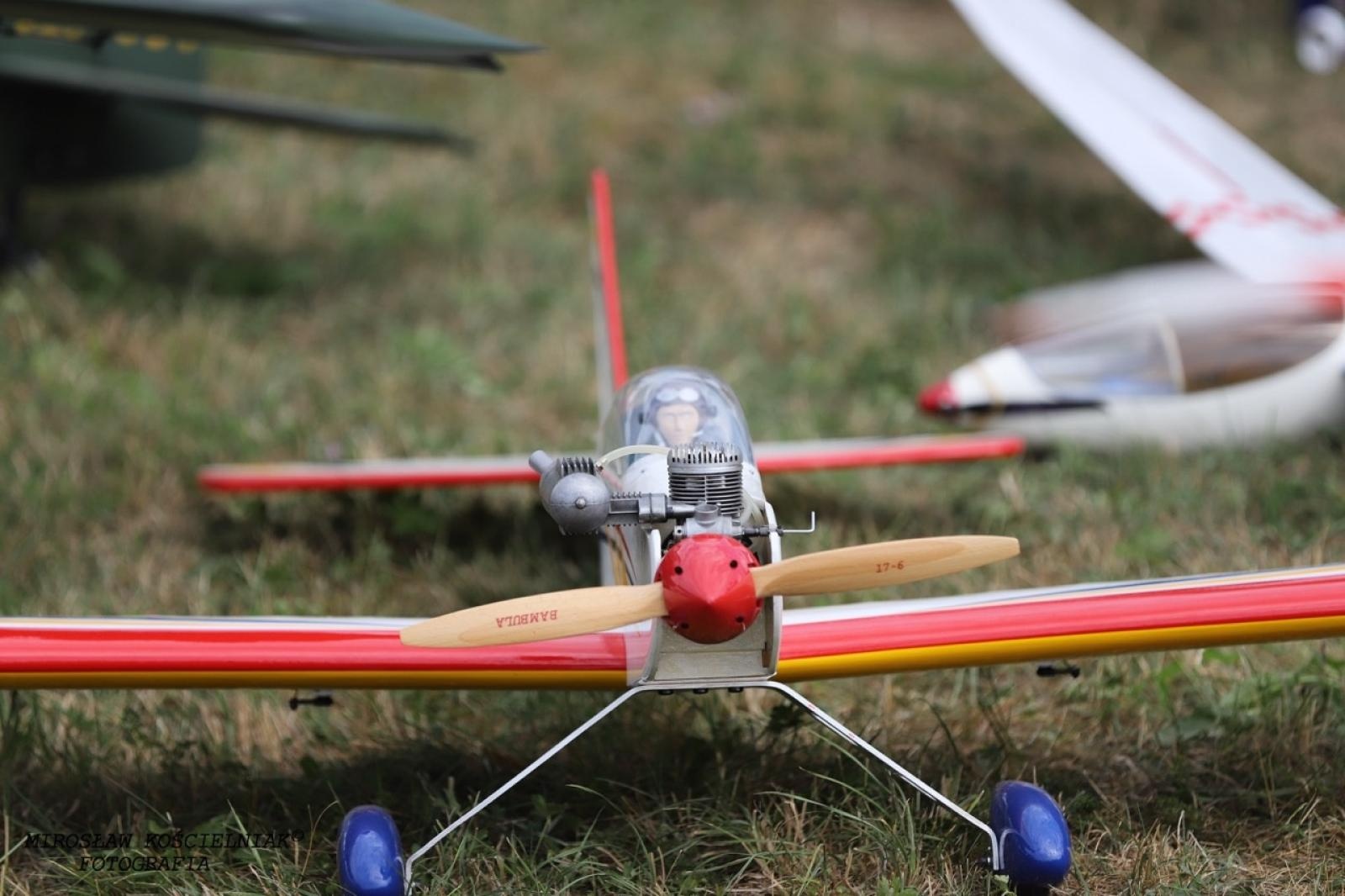 Zdjęcie w galerii na portalu naszraciborz.pl: Raciborskie air show hitem weekendu. Tłumy nad Ulgą wiadomości z regionu