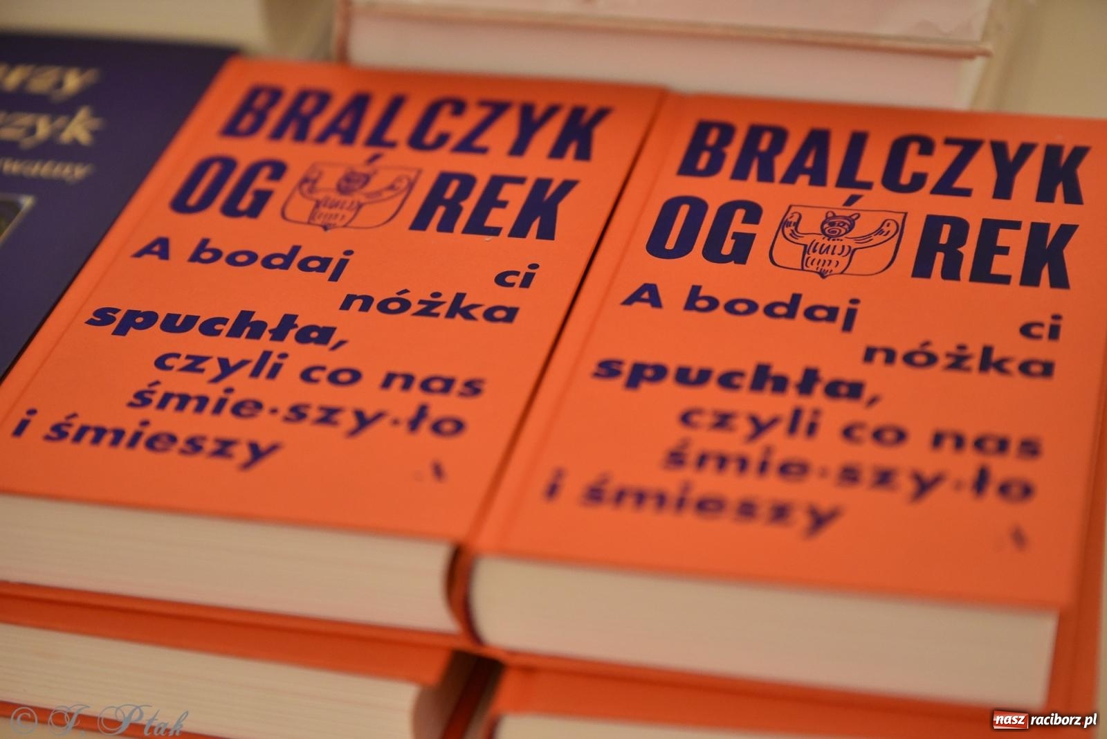 Zdjęcie w galerii na portalu naszraciborz.pl: Kordian bohaterem. Narodowe czytanie na Zamku Piastowskim wiadomości z regionu