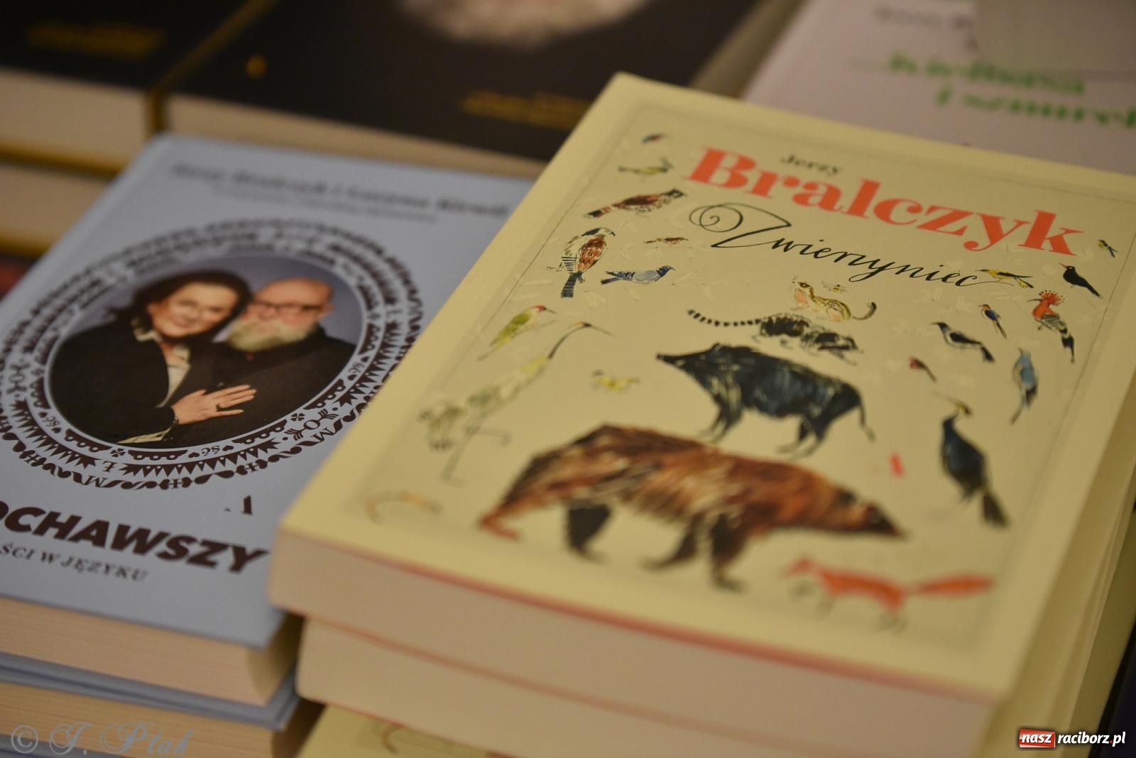 Zdjęcie w galerii na portalu naszraciborz.pl: Kordian bohaterem. Narodowe czytanie na Zamku Piastowskim wiadomości z regionu