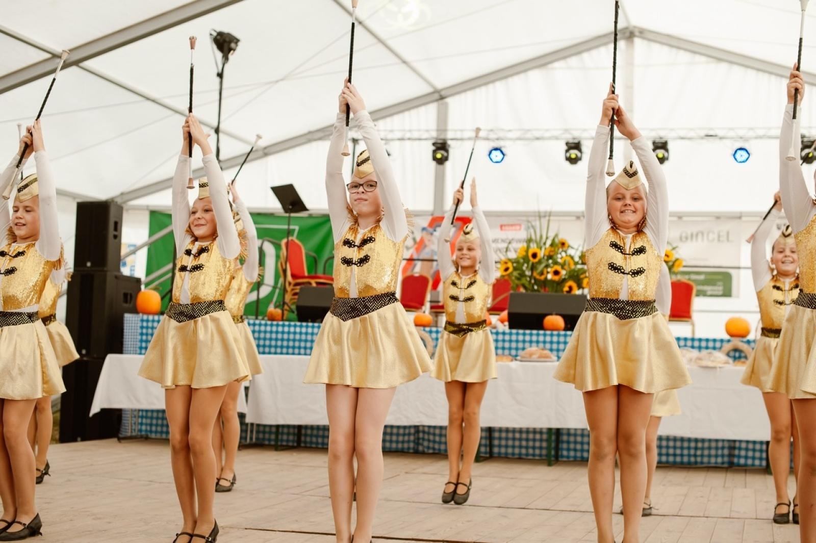 Zdjęcie w galerii na portalu naszraciborz.pl: Pietrowice Wielkie i Żerdziny świętują dożynki. Relacja bis! wiadomości z regionu