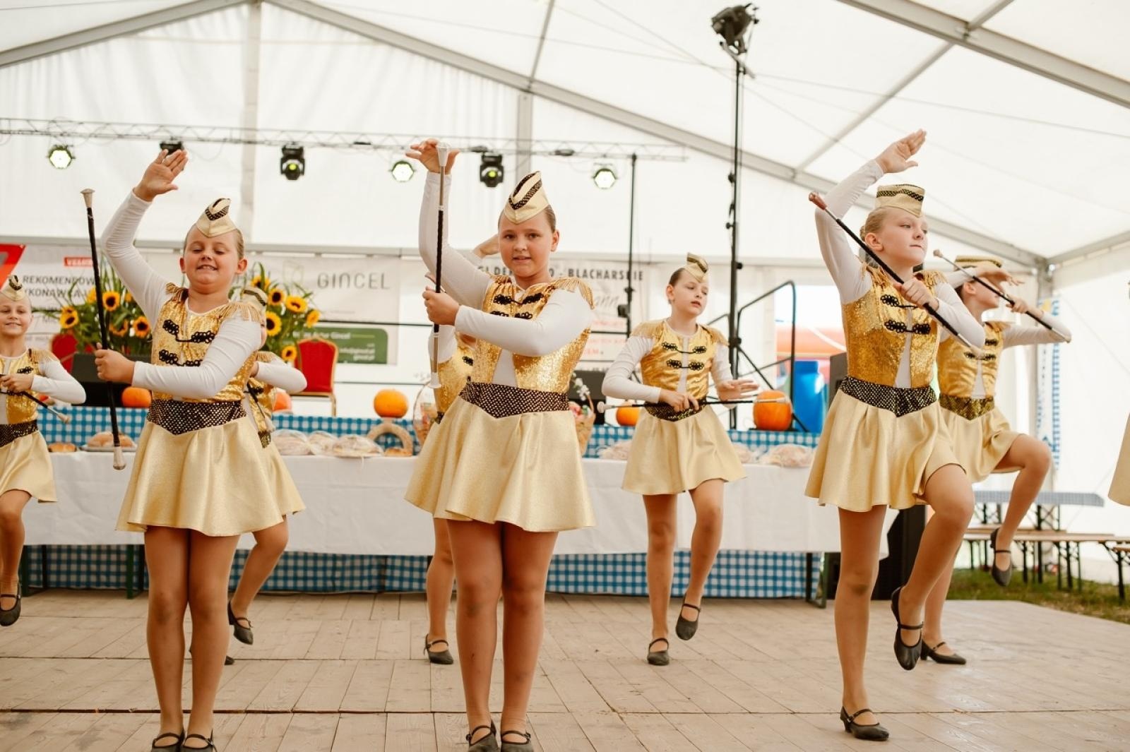 Zdjęcie w galerii na portalu naszraciborz.pl: Pietrowice Wielkie i Żerdziny świętują dożynki. Relacja bis! wiadomości z regionu