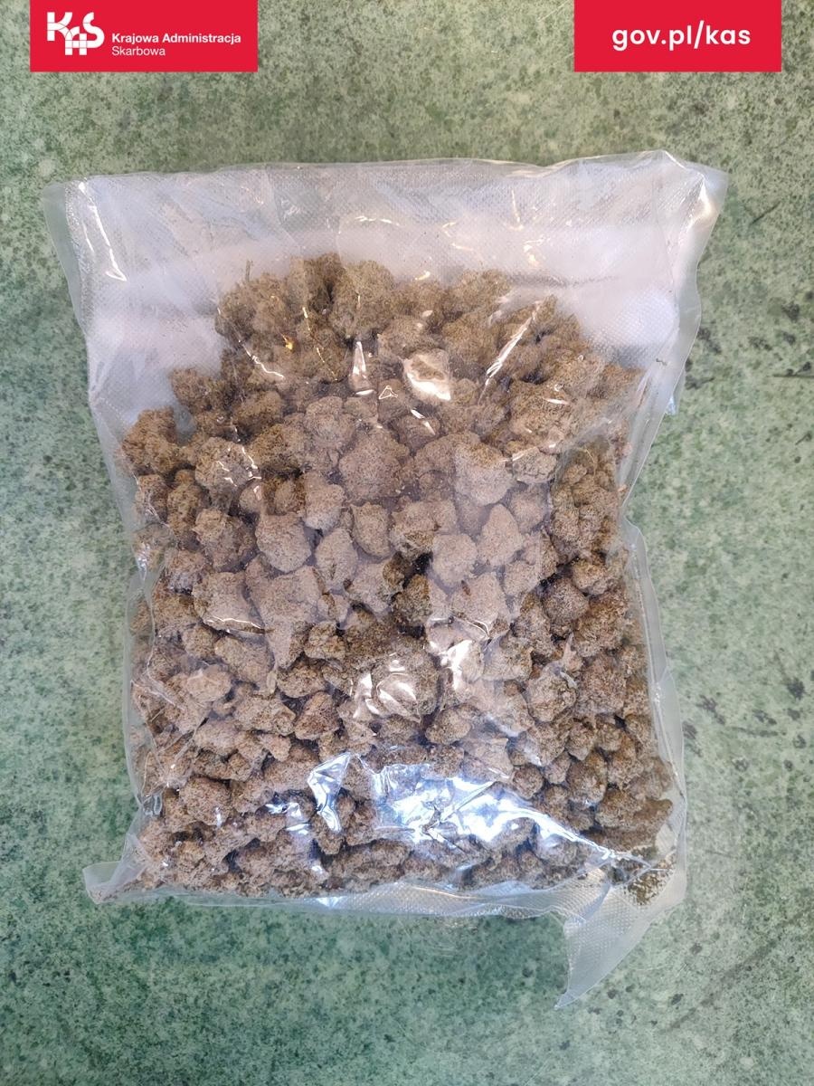 Zdjęcie w galerii na portalu naszraciborz.pl: Pies Kodi złapał trop. KAS wykryła środki odurzające w przesyłce i mieszkaniu wiadomości z regionu