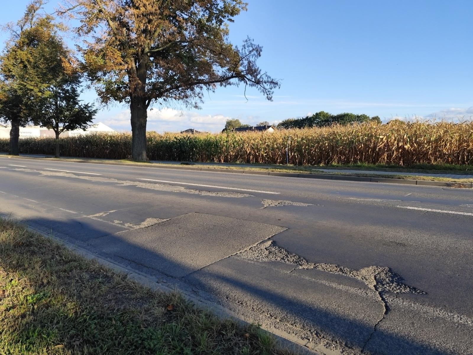 Zdjęcie w galerii na portalu naszraciborz.pl: Ruszył remont Opawskiej. Jaki przewidziano zakres prac? wiadomości z regionu