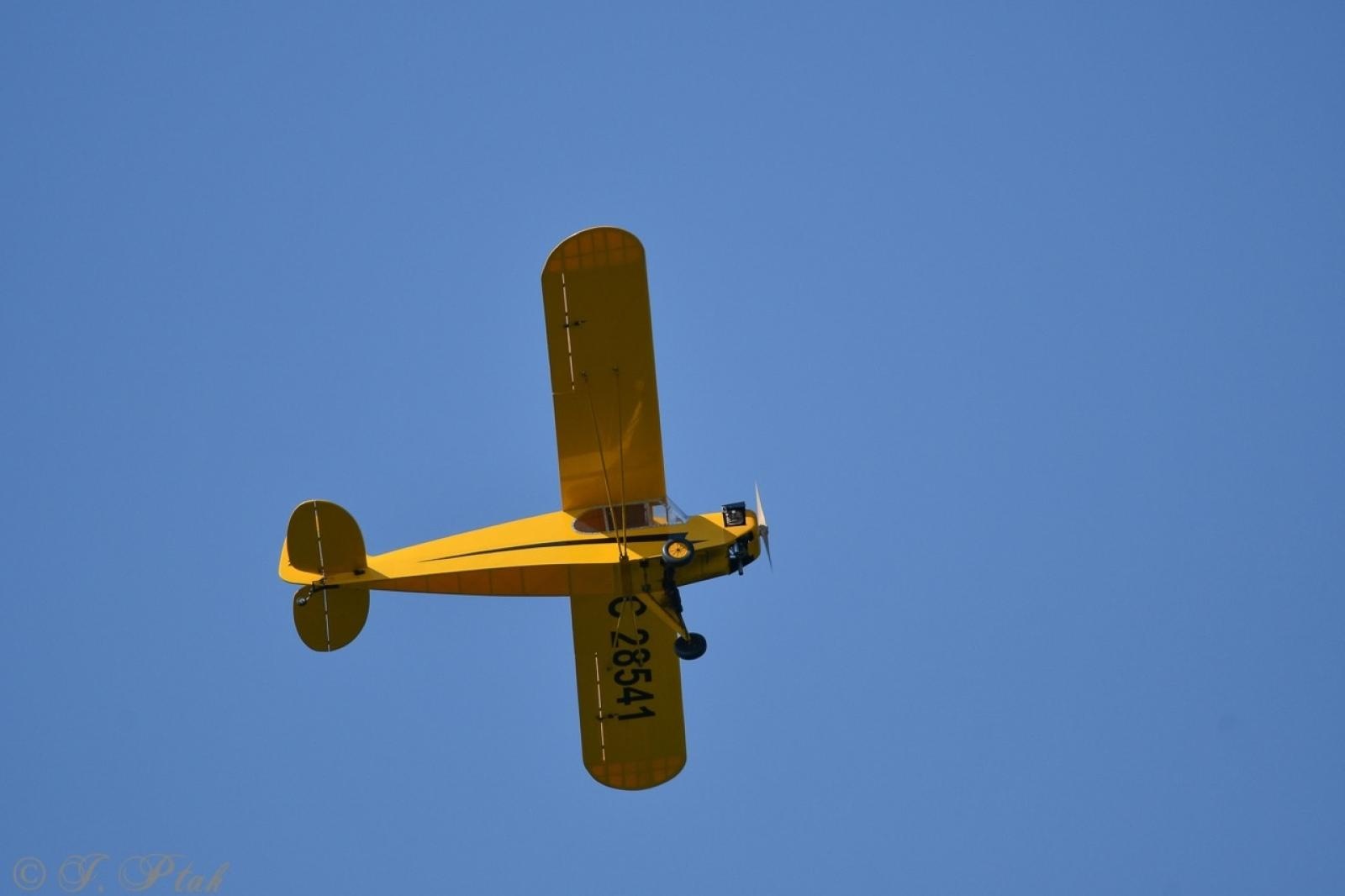 Zdjęcie w galerii na portalu naszraciborz.pl: Dwustu modelarzy na Raciborskim Air Show. To największa impreza modelarska w Polsce! wiadomości z regionu