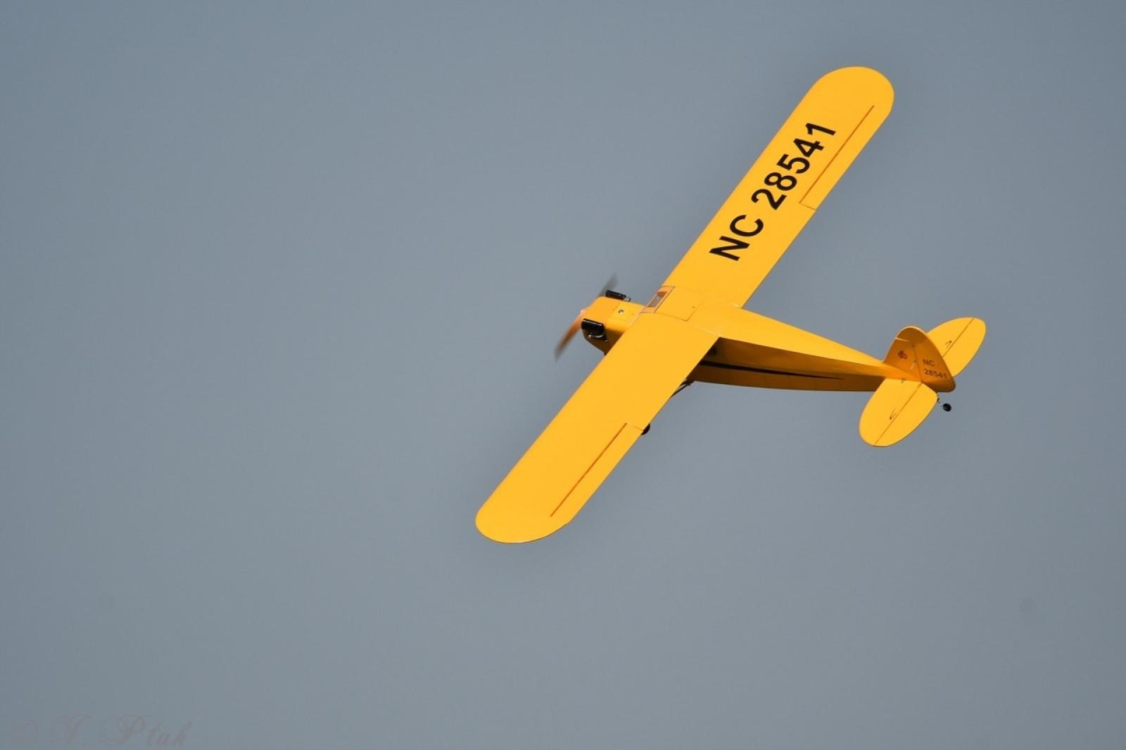 Zdjęcie w galerii na portalu naszraciborz.pl: Dwustu modelarzy na Raciborskim Air Show. To największa impreza modelarska w Polsce! wiadomości z regionu