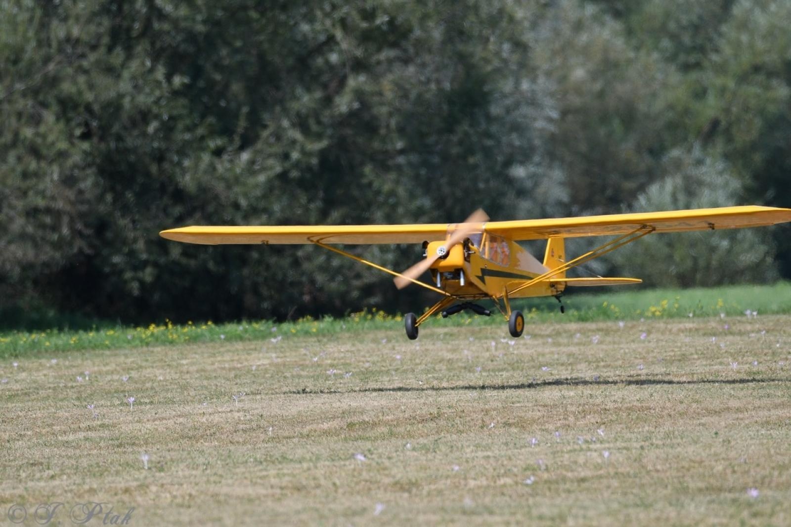 Zdjęcie w galerii na portalu naszraciborz.pl: Dwustu modelarzy na Raciborskim Air Show. To największa impreza modelarska w Polsce! wiadomości z regionu