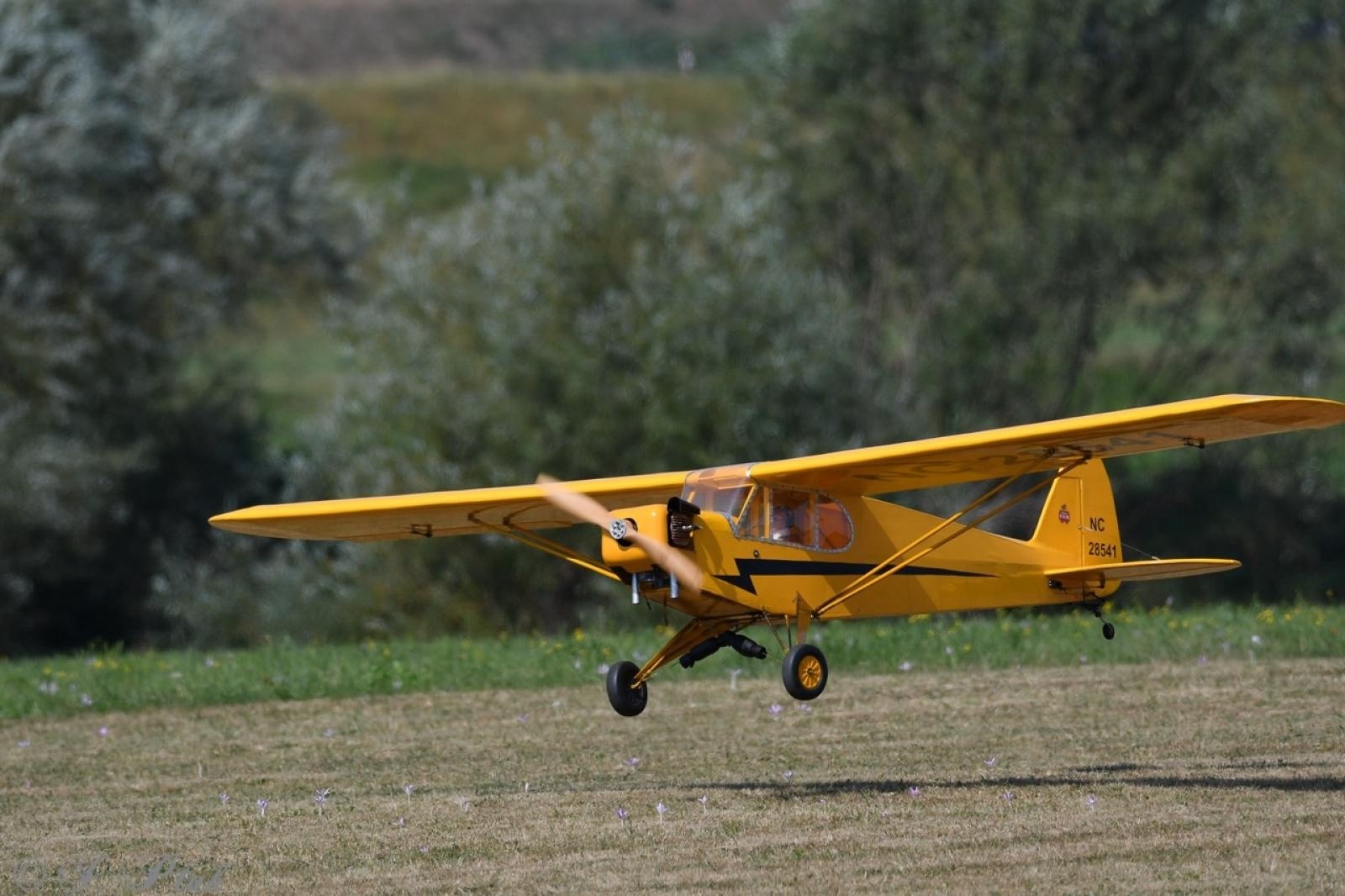 Zdjęcie w galerii na portalu naszraciborz.pl: Dwustu modelarzy na Raciborskim Air Show. To największa impreza modelarska w Polsce! wiadomości z regionu