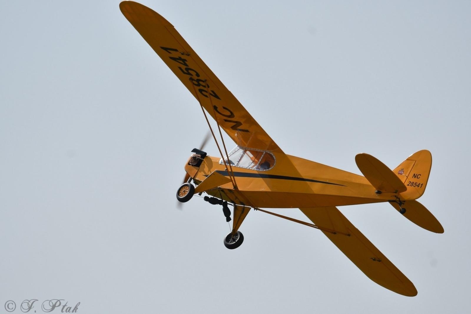 Zdjęcie w galerii na portalu naszraciborz.pl: Dwustu modelarzy na Raciborskim Air Show. To największa impreza modelarska w Polsce! wiadomości z regionu
