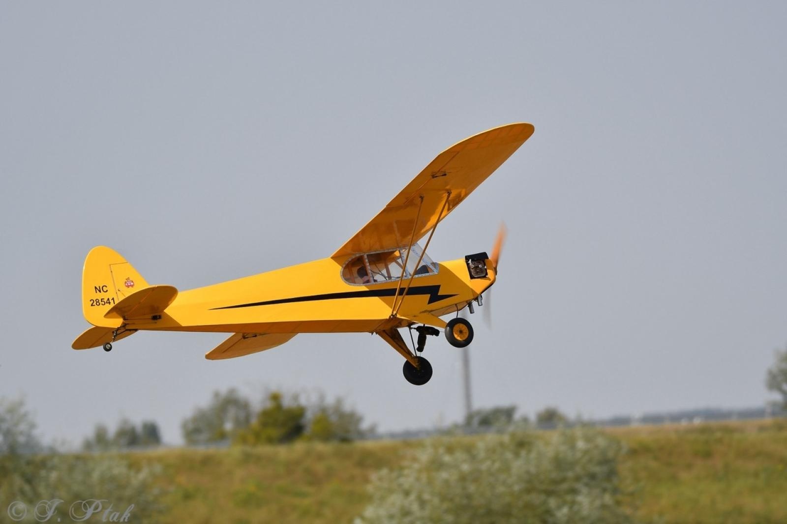 Zdjęcie w galerii na portalu naszraciborz.pl: Dwustu modelarzy na Raciborskim Air Show. To największa impreza modelarska w Polsce! wiadomości z regionu