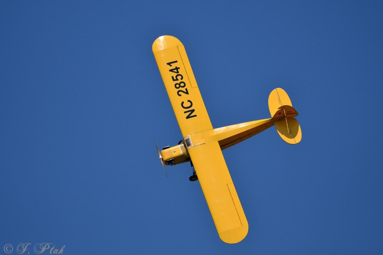 Zdjęcie w galerii na portalu naszraciborz.pl: Dwustu modelarzy na Raciborskim Air Show. To największa impreza modelarska w Polsce! wiadomości z regionu