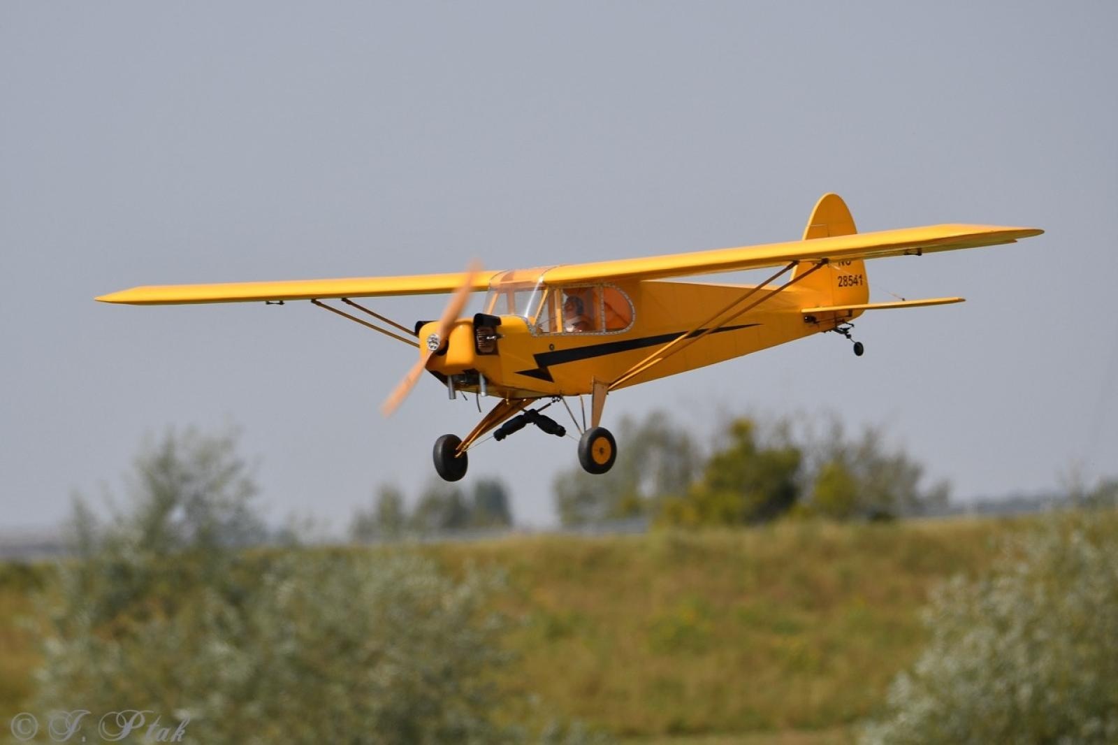 Zdjęcie w galerii na portalu naszraciborz.pl: Dwustu modelarzy na Raciborskim Air Show. To największa impreza modelarska w Polsce! wiadomości z regionu