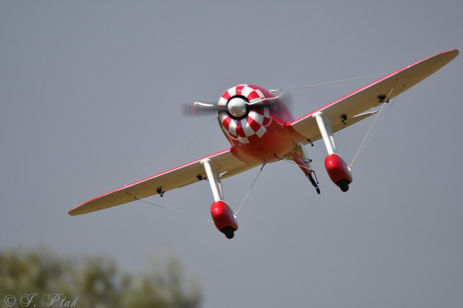 Zdjęcie w galerii na portalu naszraciborz.pl: Dwustu modelarzy na Raciborskim Air Show. To największa impreza modelarska w Polsce! wiadomości z regionu